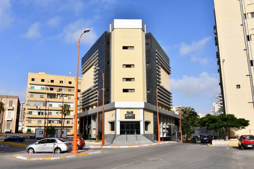 Alexandria University Medical Training Building