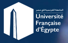 Universite Francaise d'Egypte